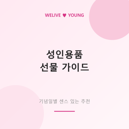 성인용품 선물 가이드 &mdash; 기념일별 센스 있는 추천 아이템