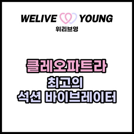 [9종 진동 클레오파트라 석션 바이브레이터] &ndash; 최고의 여성용 석션 바이브레이터 추천