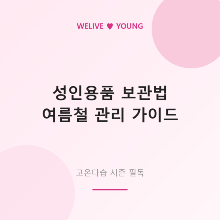 성인용품 보관법 &mdash; 여름철 고온다습 시즌 관리 완벽 가이드